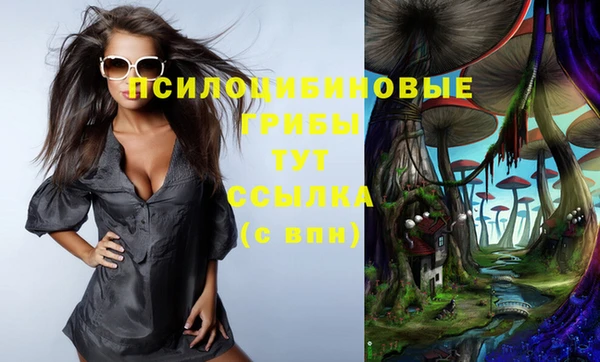 MDMA Premium VHQ Зерноград