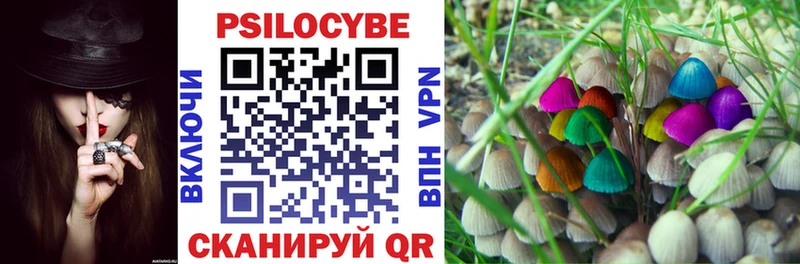 Купить  Нерюнгри  Псилоцибиновые грибы Cubensis 