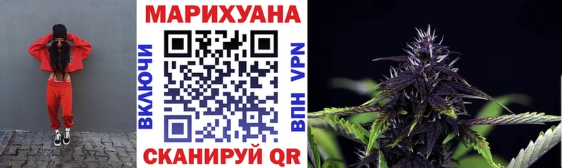 Купить где  Нерюнгри  МАРИХУАНА ГИДРОПОН 